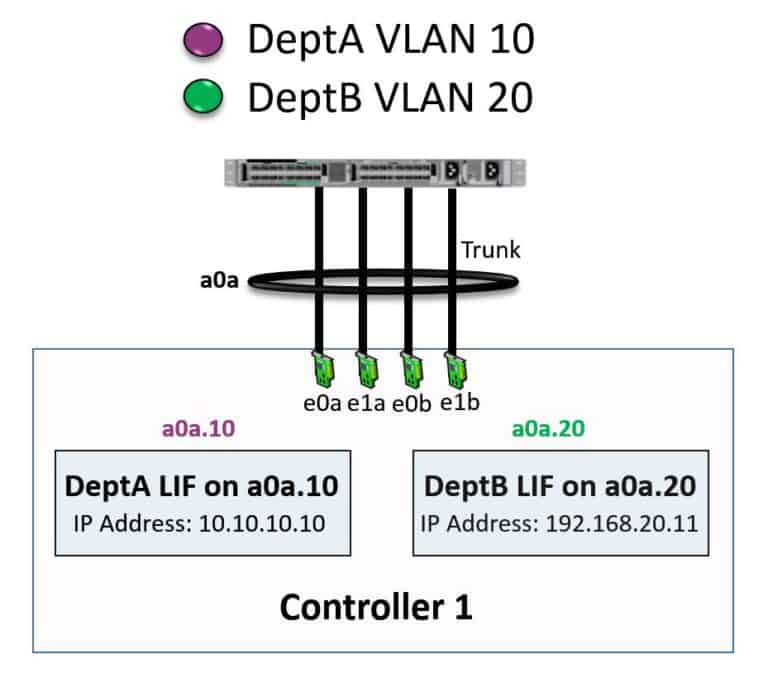 NetApp Logical Interfaces (LIFs) Tutorial FlackBox