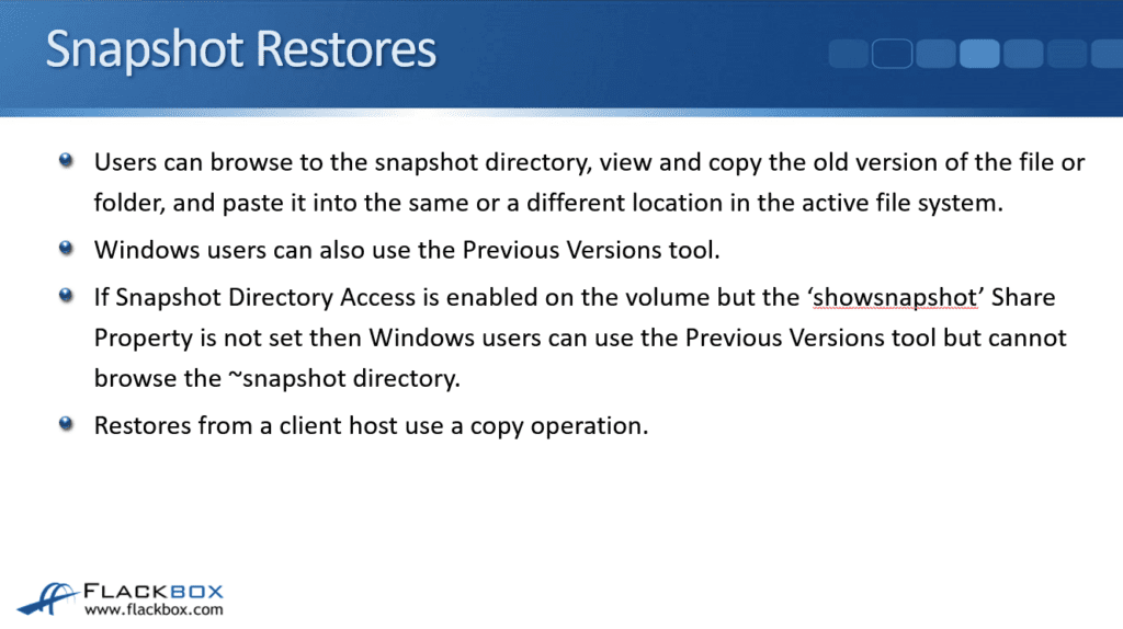 NetApp Snapshot Restores FlackBox