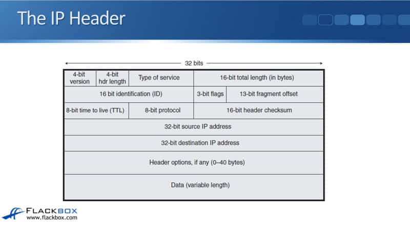 The IP Header